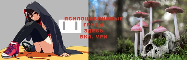 кокаин перу Алексин