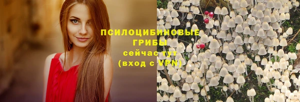 прущая мука Алзамай