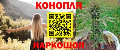 ПСИЛОЦИБИНОВЫЕ ГРИБЫ Заводоуковск