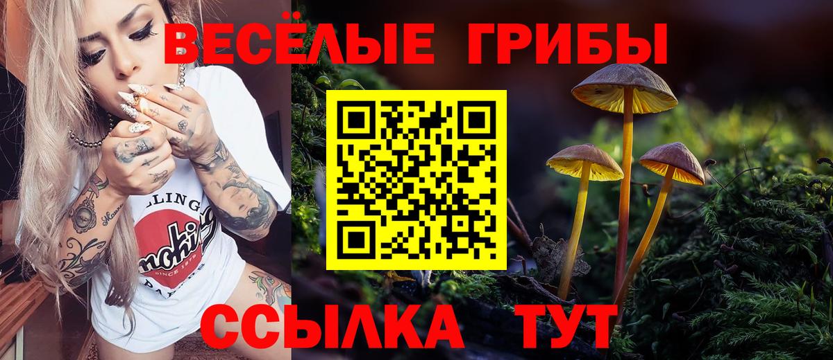 Галлюциногенные грибы прущие грибы Ступино
