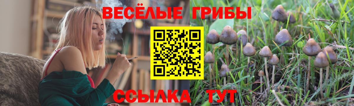 Ступино  Галлюциногенные грибы Psilocybe  Вход с VPN  Галлюциногенные грибы GOLDEN TEACHER 